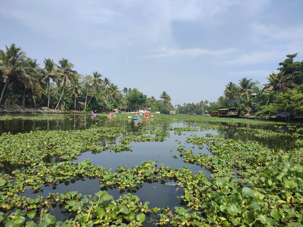 paysage backwaters - voyage-yoga