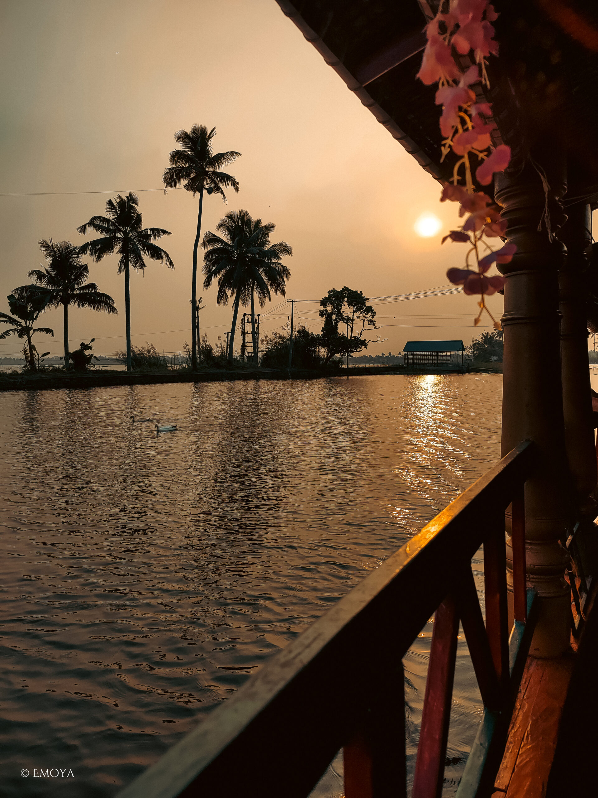 voyage emoya - backwaters inde