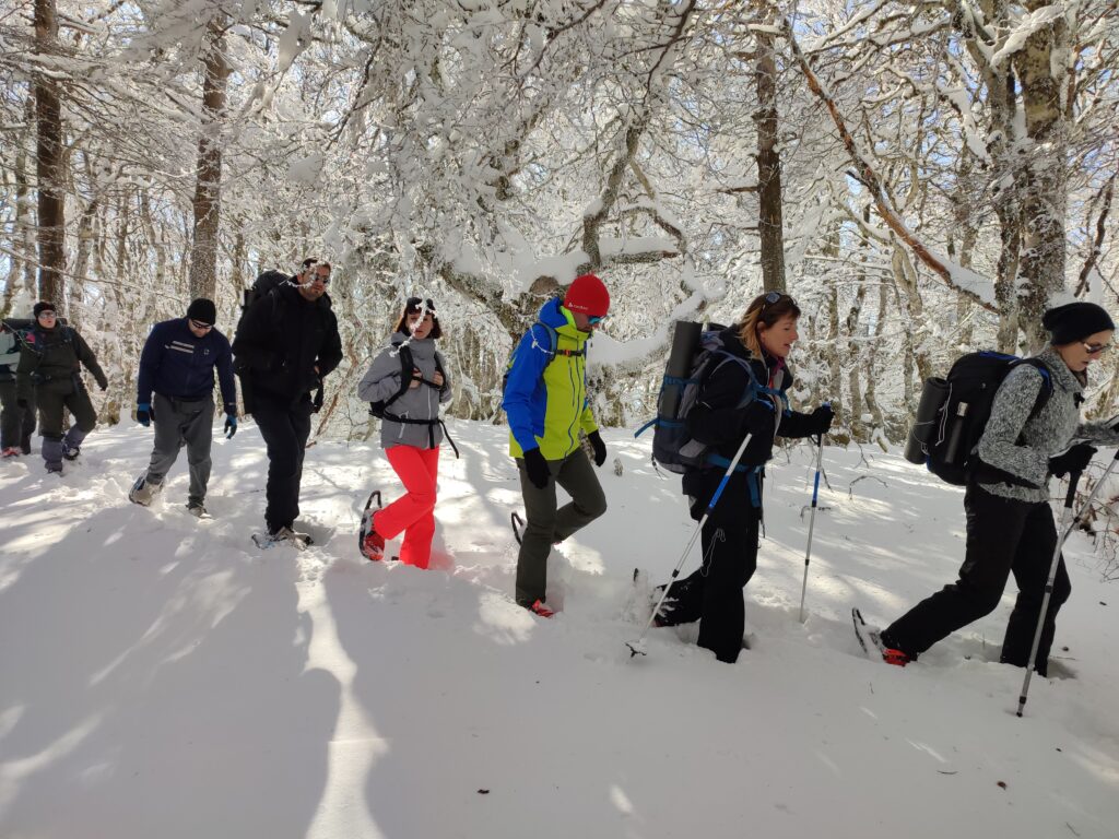 emoya - rando'yoga-neige - groupe