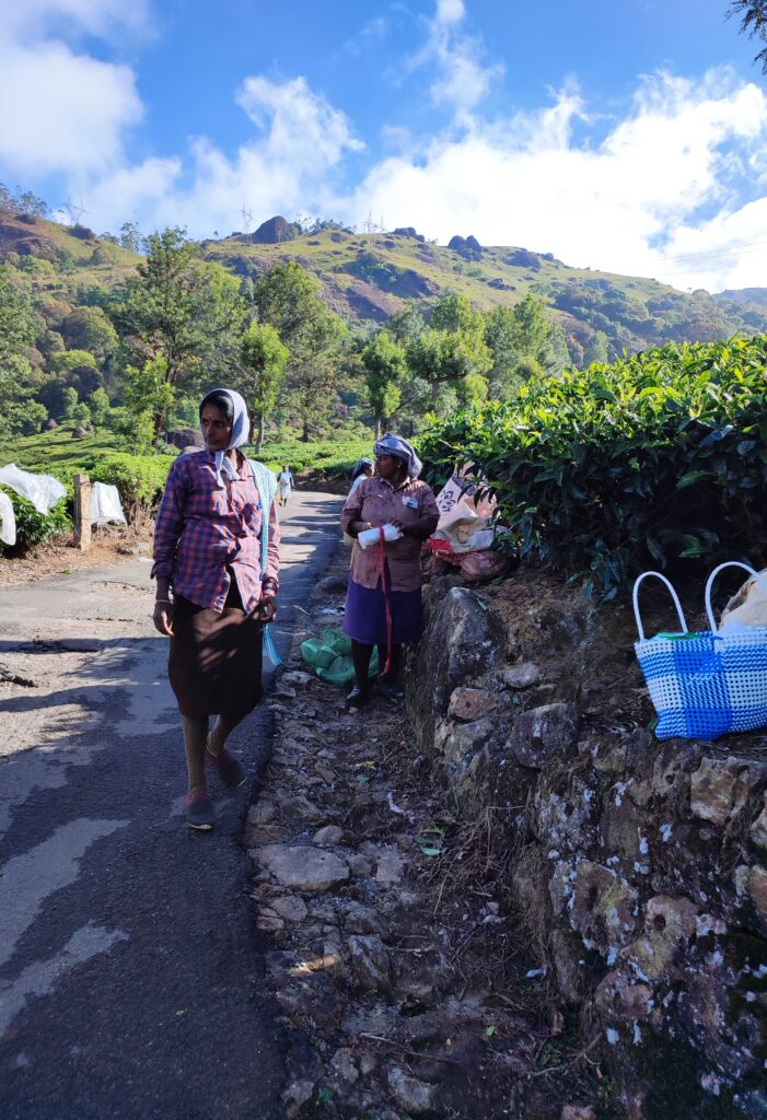 locaux munnar - voyage inde emoya