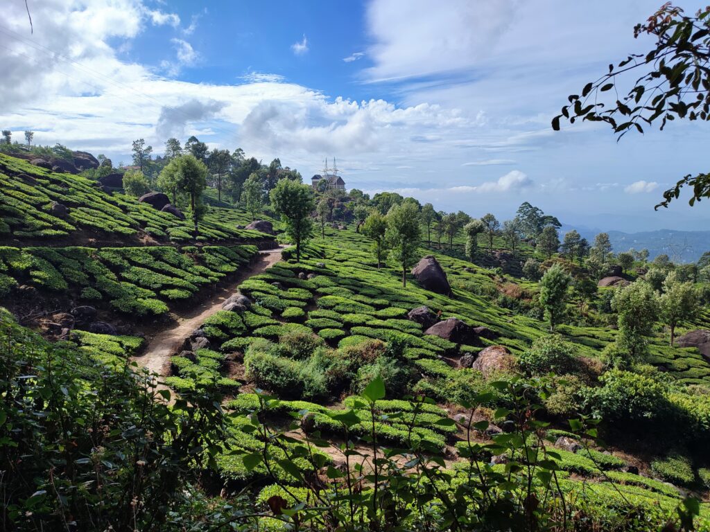 munnar inde - voyage emoya