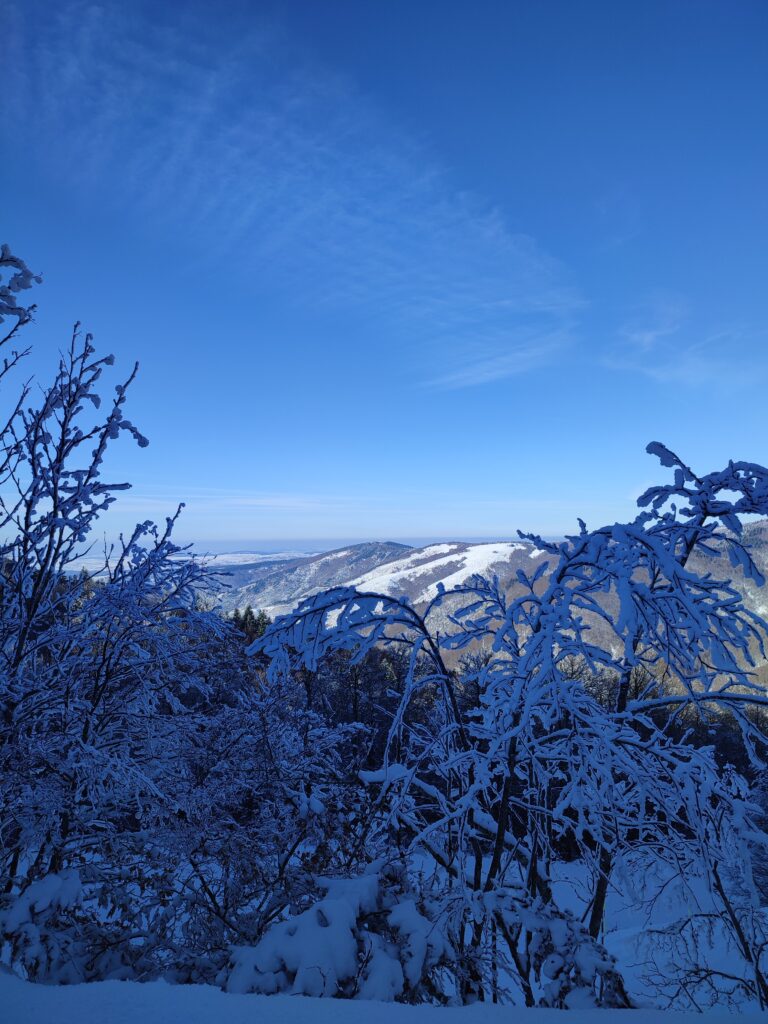 paysage raquettes à neige emoya