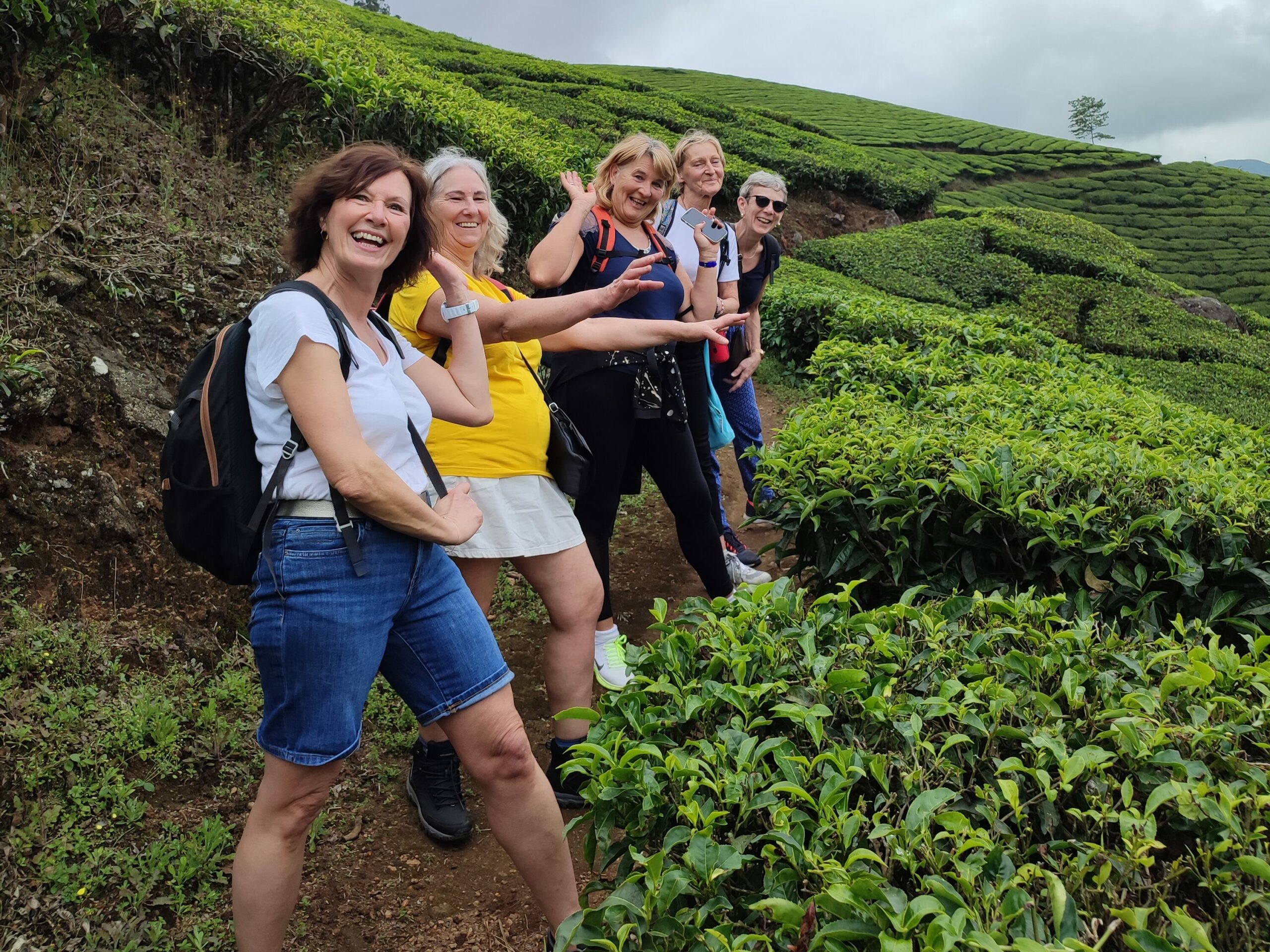 randonnée munnar - voyage emoya