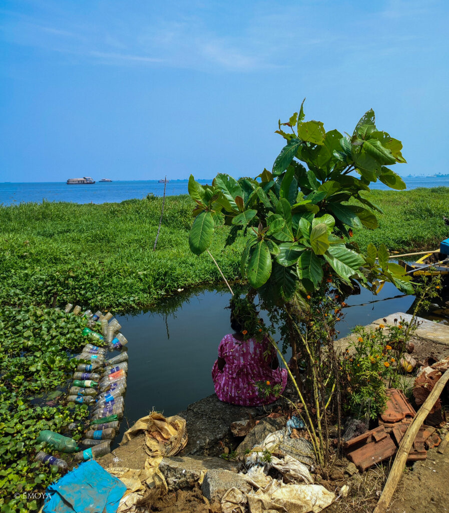 paysage nature - voyage yoga inde