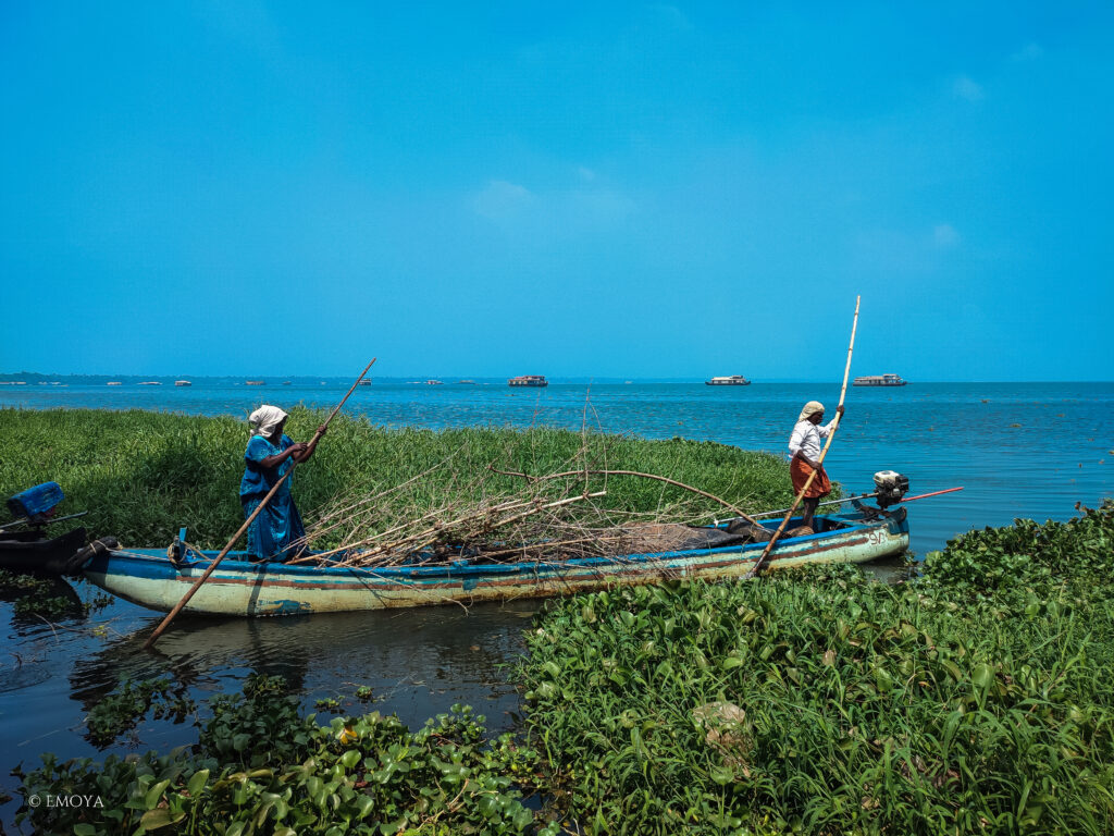 paysage inde - voyage yoga