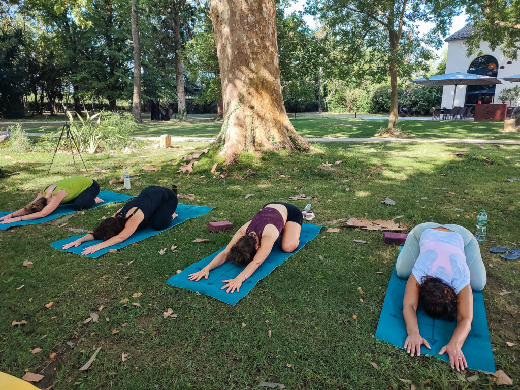 Domaine de Biar Hatha yoga