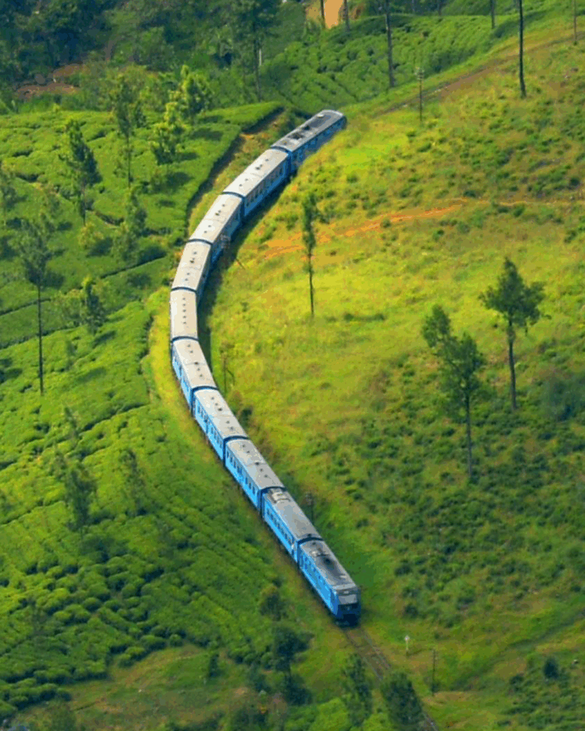 Voyage au Sri lanka
